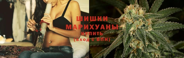дживик Аркадак