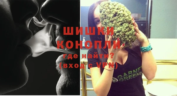 шишки Семилуки