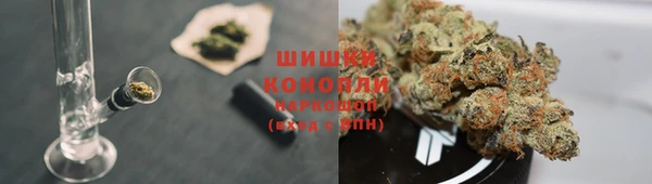 ПСИЛОЦИБИНОВЫЕ ГРИБЫ Балахна
