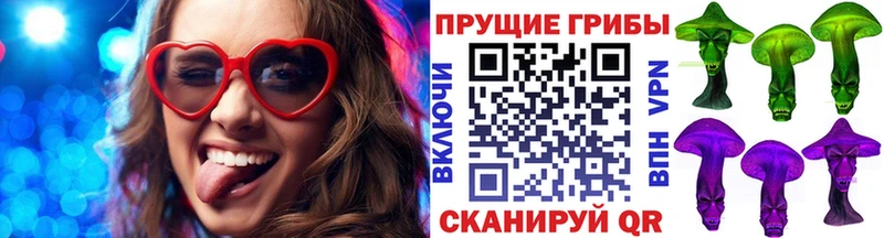 Псилоцибиновые грибы прущие грибы  omg   Лахденпохья 